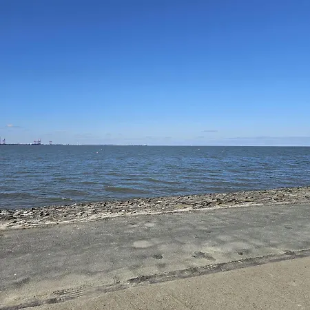 Seestern23 بوتجادينغين